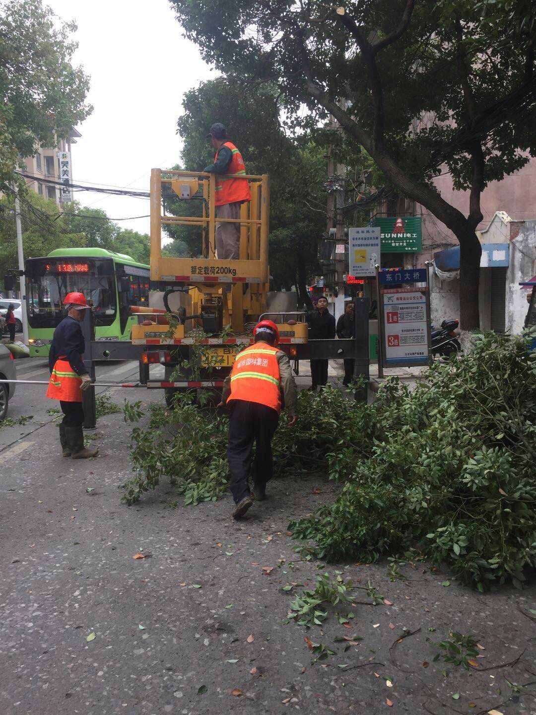 近日，我公司根据南陵县市政园林所通知，组织安排人员车辆协助市政园林所路灯科修剪陵阳路两侧遮挡路灯照明的树枝。此项工作持续了三天，消除了因路灯光照不足带来的夜间通行安全隐患问题，受到沿线居民一致好评。